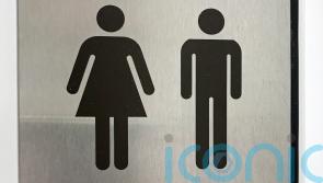 Taoiseach says two referenda needed for gender equality amendments