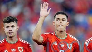 Brennan Johnson has the potential to reach &lsquo;highest of levels&rsquo; &ndash; Neco Williams