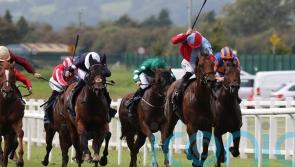 Moss Tucker flying high at the Curragh