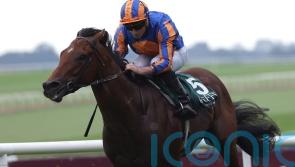 Henry Longfellow is National hero, as O&rsquo;Brien lands 4,000th winner