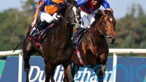 Breeders&rsquo; Cup bid set to beckon for Auguste Rodin