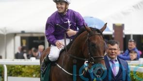 Amo Racing and Kevin Stott part ways