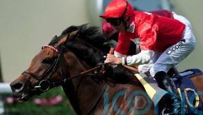 Step up in trip in Paris a possibility for Rogue Millennium