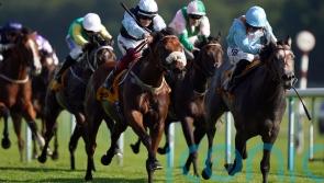 Swift return to action being considered for Shouldvebeenaring