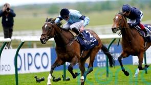 Boughey pleased as &lsquo;fresh&rsquo; Cachet returns from lengthy absence