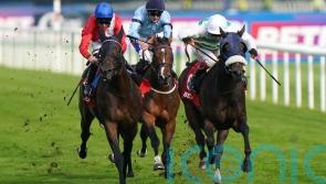 Murphy times it to perfection on Sandrine in Park Stakes