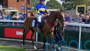 Macarone on a mission for Rob Burrow Racing Club at Thirsk