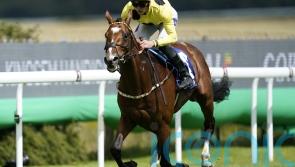 Royal Rhyme camp have lofty ambitions