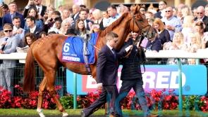 Desert Hero camp rule out Melbourne Cup bid