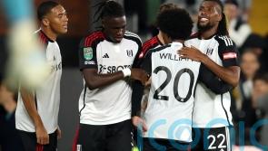 Carlos Vinicius and Alex Iwobi strike in Fulham&rsquo;s win over Norwich