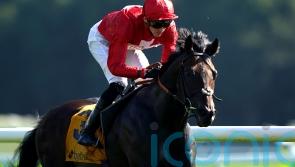 Chindit in top form for potential swansong at Newmarket