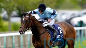 Ground proved key to Cachet getting Foret green light