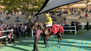 Sea Silk Road enjoys perfect send-off success in Prix de Royallieu