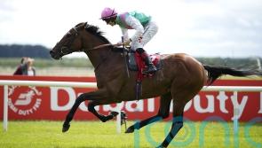 Westover has sights set on Breeders&rsquo; Cup after brave Arc bid