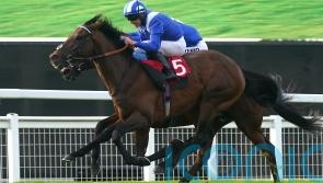 Burrows points to quick conditions after Hukum&rsquo;s Arc eclipse