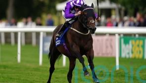 Shaquille set for racecourse spin ahead of possible Ascot date