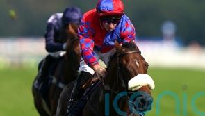 Big Evs gearing up for Breeders&rsquo; Cup mission