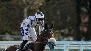 Al Qareem shows guts and class in Cumberland Lodge victory