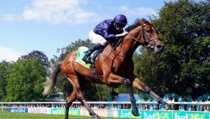 O&rsquo;Brien excited by City Of Troy&rsquo;s Dewhurst test