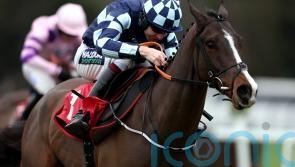 Chasing Fire makes ideal start over fences