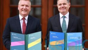 Budget a &lsquo;fundamental reform&rsquo; of public finances, Irish finance minister says