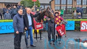Minella Indo impresses on Punchestown return