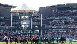 National field reduced to 34 runners in bid to improve safety