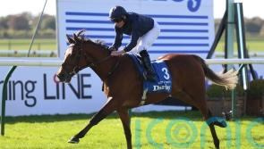 City Of Troy seals star status with Dewhurst success