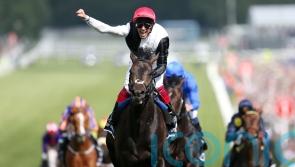 Golden Horn stands out for Cochrane as a special Dettori memory