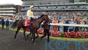 Menuisier back in Group One business with Sunway