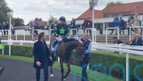 Inquisitively to skip overseas challenge in favour of winter break