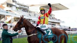 Lookaway set to play leading role in Cheltenham feature