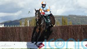 Cromwell records double with smart prospects at Cheltenham