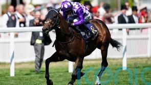 Sprinting star Shaquille retired to stud