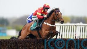 McCain prefers Pattern-race options for Minella Drama