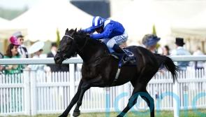 Mostahdaf will stand in Newmarket after final start in Breeders&rsquo; Cup Turf