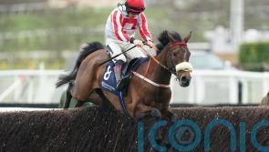 The Real Whacker going for Paddy Power gold