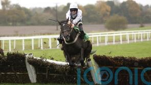 Mighty Quinn steers Botox Has to big win