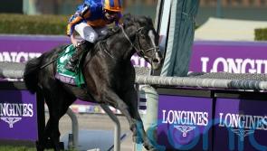 &lsquo;Dream horse&rsquo; Auguste Rodin roars to Breeders&rsquo; Cup Turf glory