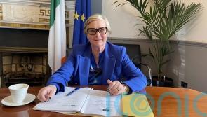 Frances Fitzgerald will not contest European Parliament elections