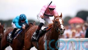 West already dreaming of Breeders&rsquo; Cup return