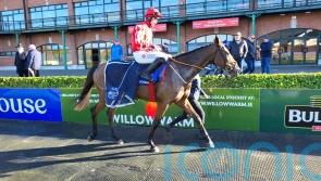 Imagine makes good first impression over fences