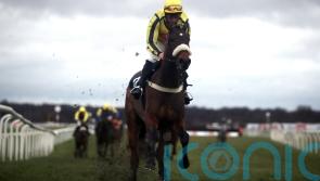 Willmount sparkles on Newbury hurdles bow