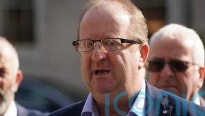 New party called Independent Ireland registered with election authority