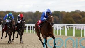 Mukaddamah achieves Listed aim with Gillies success