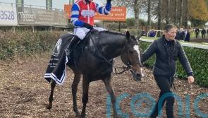 Blackjack Magic too good in Badger Beer Chase