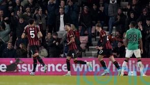 Dominic Solanke double downs Newcastle as Bournemouth climb out of bottom three