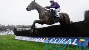 Fugitif &lsquo;spot-on&rsquo; for Paddy Power challenge