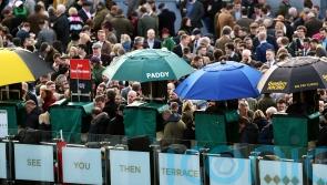 Response issued by government to petition on affordability checks