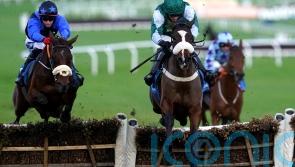 Minella Missile rockets to &lsquo;fairytale&rsquo; Cheltenham success